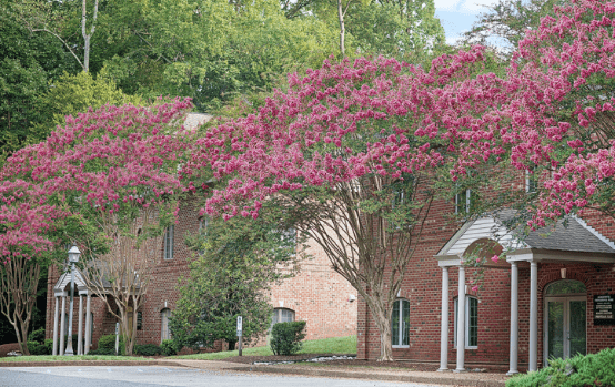 Jamestowne Professional Park executive office space for rent in Williamsburg VA